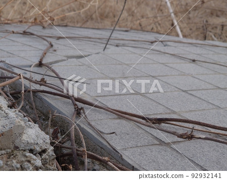 Tile and ivy Tile and ivy 92932141