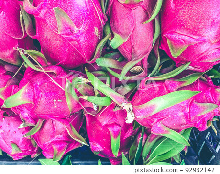 pink dragon fruit natural texture, background. appetizing fruit. an exotic product grown in a tropical country. pink thick fruit skin with white filling 92932142