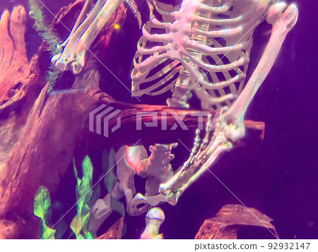 human skeleton, sunken tourist at the bottom of the sea. the bones got tangled in the wooden thickets, snags at the bottom. sea fish swimming nearby 92932147