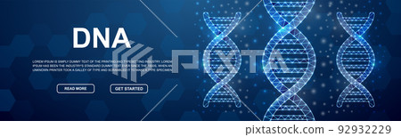 DNA spiral polygonal horizontal banner. Science low poly symbol for head promotion banner. Genetic helix design template illustration concept. DNA spiral polygonal horizontal banner. Science low poly symbol for head promotion banner. Genetic helix design template illustration concept. 92932229