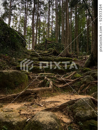 Mie Kumano Kodo Matsumoto Pass Stone steps with tree roots Mie Kumano Kodo Matsumoto Pass Stone steps with tree roots 92933164
