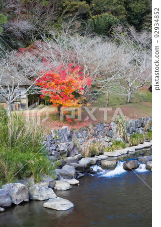 Manose River Autumn Iwaya Park 92934852