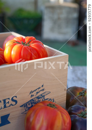 air room tomato 92935779