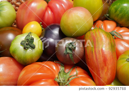 空氣室番茄 空氣室番茄 92935788