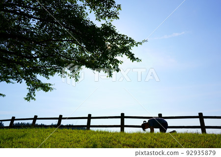 蔚藍的天空下，一個手膝跪在岸邊的憂鬱中年婦女的身影 92935879