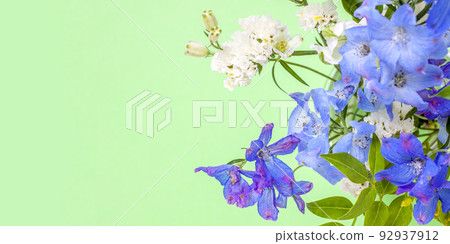 green background bouquet material green background bouquet material 92937912