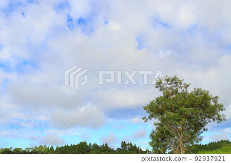 Summer sky Blue sky with many clouds Summer sky Blue sky with many clouds 92937921