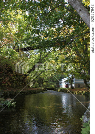 Suspension bridge_Fukidashi park_Kyogoku town 92937948