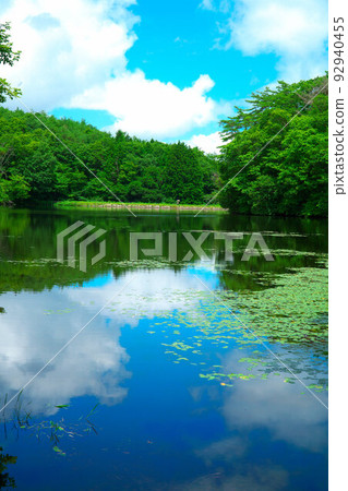 [國家天然紀念物] 映照夏日天空的古學保濕地 岡山縣新見市 3 古學保池 92940455
