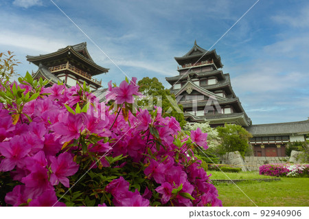 伏見桃山城和杜鵑花 伏見桃山城和杜鵑花 92940906