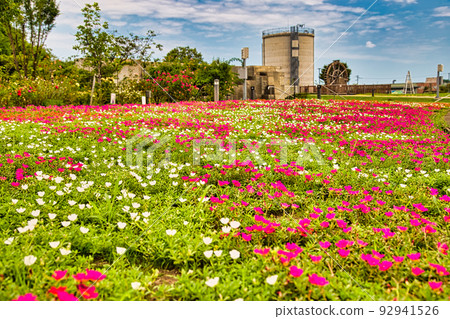 Yuri no Sato Park 92941526