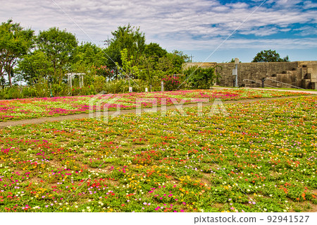 Yuri no Sato Park 92941527