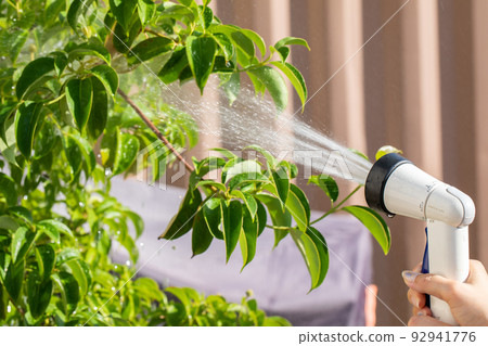 手澆樹澆水 手澆樹澆水 92941776