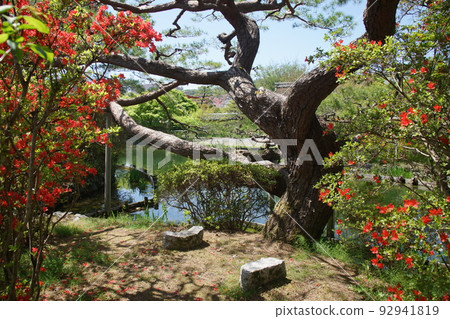 梅宮大社 92941819