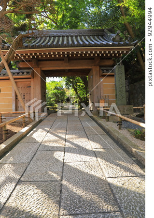 Treasure Temple of Kamakura 92944994
