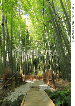 鎌倉寶藏寺 鎌倉寶藏寺 92945017