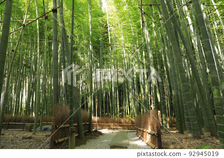 鎌倉寶藏寺 鎌倉寶藏寺 92945019
