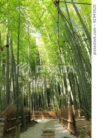 鎌倉寶藏寺 鎌倉寶藏寺 92945020