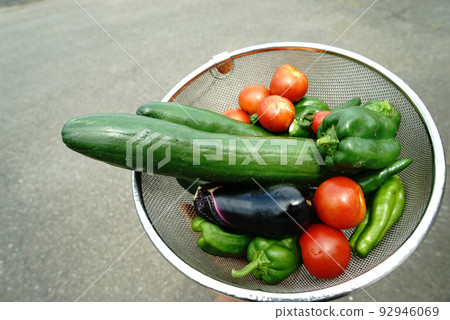 Summer vegetable Summer vegetable 92946069