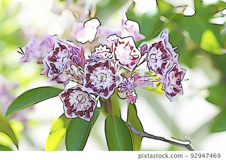 柔和的風格“盛開的 Kalmia 花和五彩紙屑般的花蕾”插圖圖像 92947469