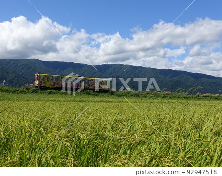 Flower Nagai Line Autumn Inaho Flower Nagai Line Autumn Inaho 92947518