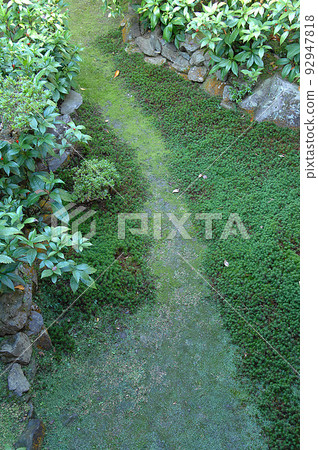A Japanese path with beautiful moss and senryo. A straight road with depth. 92947818