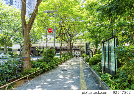 [東京]路旁綠樹成蔭的西新宿都市風景 92947862