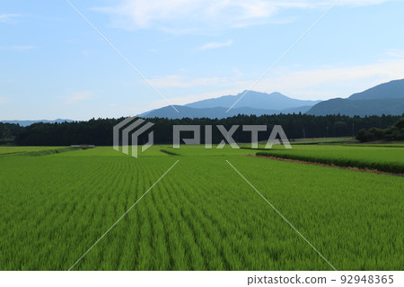 Mt. Tsukuba and the countryside 92948365
