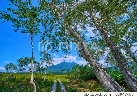 Oze in summer From near the Numajiri River in Shimodashiro to Mt. Hiuchigatake over the white birch Oze in summer From near the Numajiri River in Shimodashiro to Mt. Hiuchigatake over the white birch 92948496