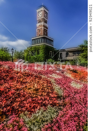 Flower and Clock Tower 92949021