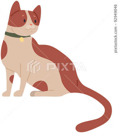 Portrait of cute resting kitten. Adorable kitty in collar. Sitting cat, domestic animal, pet 92949046