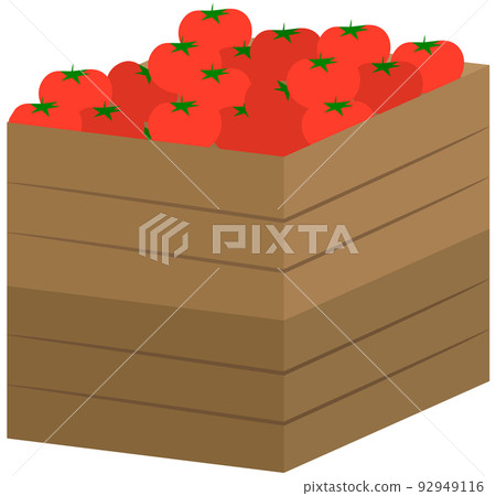 Tomatoes in wooden box. Autumn harvest. Isolated vegetables in container on white background 92949116