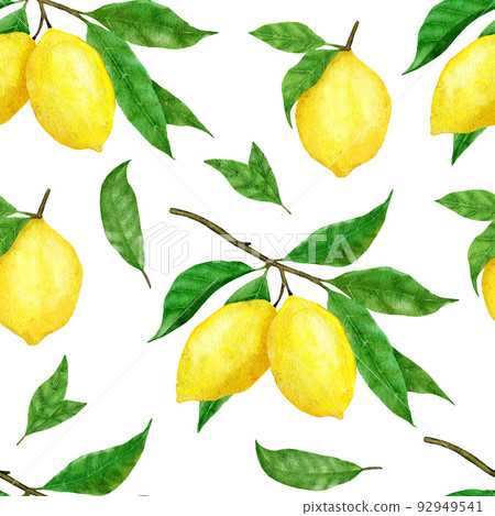Watercolor hand drawn seamless pattern with lemon citrus fruit. Summer bright organic sweet tasty food botanic print. Harvest tree ornament textile. 92949541