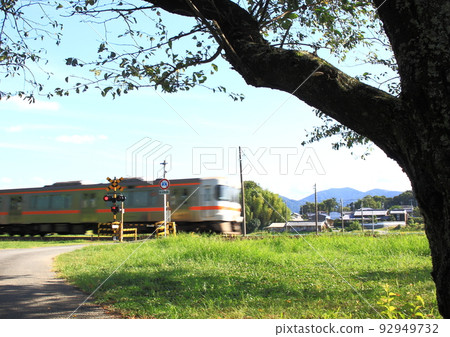 一輛柴油車穿過鐵路道口，從 JR 三宮線的一棵大樹中看到 92949732