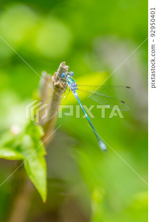 Ao Ititombo Ao Ititombo 92950401