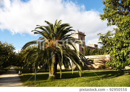 City park with green trees and palm trees. Valencia Central Park with gardens and green trees. 92950558