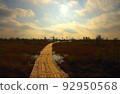 Swamp Yelnya in autumn landscape. Wild mire of Belarus.  92950568