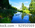 River in the wild. View of a small river in the forest among trees and green bushes with grass. 92950569