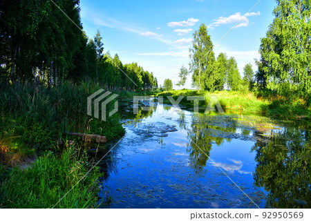 River in the wild. View of a small river in the forest among trees and green bushes with grass. River in the wild. View of a small river in the forest among trees and green bushes with grass. 92950569
