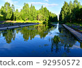 River in the wild. View of a small river in the forest  92950572