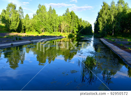River in the wild. View of a small river in the forest River in the wild. View of a small river in the forest 92950572