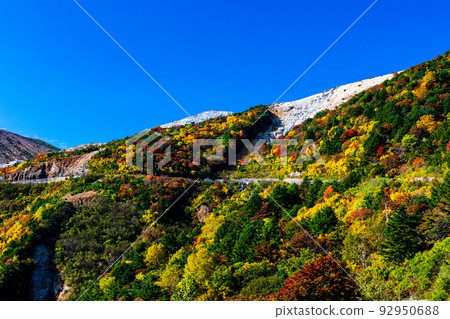 [Fukushima Prefecture/ Azuma Mountain Range] Hiking along the Kamanuma Nature Trail in Kinshu October 92950688