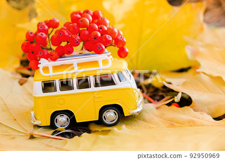 Autumn retro yellow van bus with with rowan berries on autumn maple leaf background. Funny retro toy car  92950969