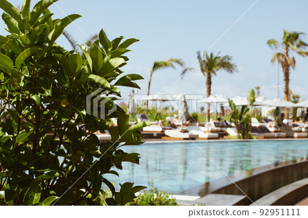 Luxury open swimming pool with tropical green plant and flowers. Summer nature. Nature background. Space background. 92951111