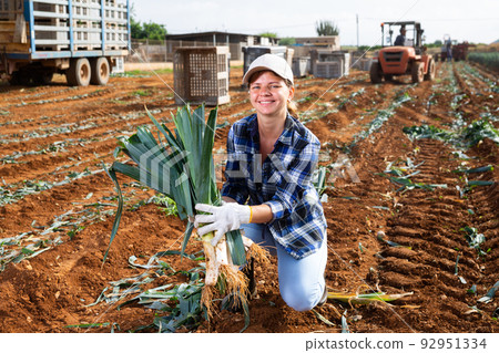 Portrait of positive woman farmer with fresh leek on field Portrait of positive woman farmer with fresh leek on field 92951334