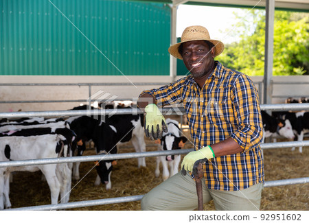 Portrait of an african american male farmer standing in a cowshed Portrait of an african american male farmer standing in a cowshed 92951602