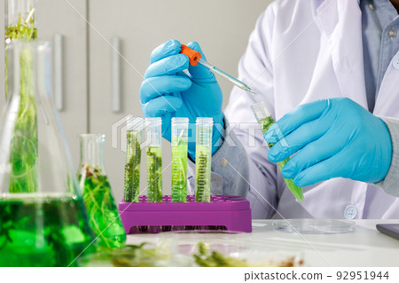 research scientist team working  research and Biotech science Photobioreactor in laboratory of algae fuel, biofuel sustainable biochemical 92951944