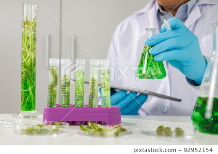 research scientist team working  research and Biotech science Photobioreactor in laboratory of algae fuel, biofuel sustainable biochemical 92952154