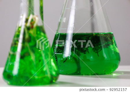 research and Biotech science Scientists are developing research on algae. Bio-energy, biofuel, energy research 92952157