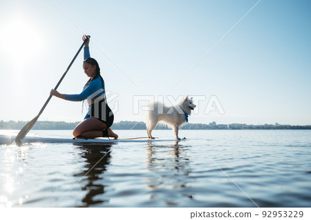 Woman Paddleboarding on the City Lake at Early Morning with Her Dog Japanese Spitz Sitting on the Sup Board 92953229